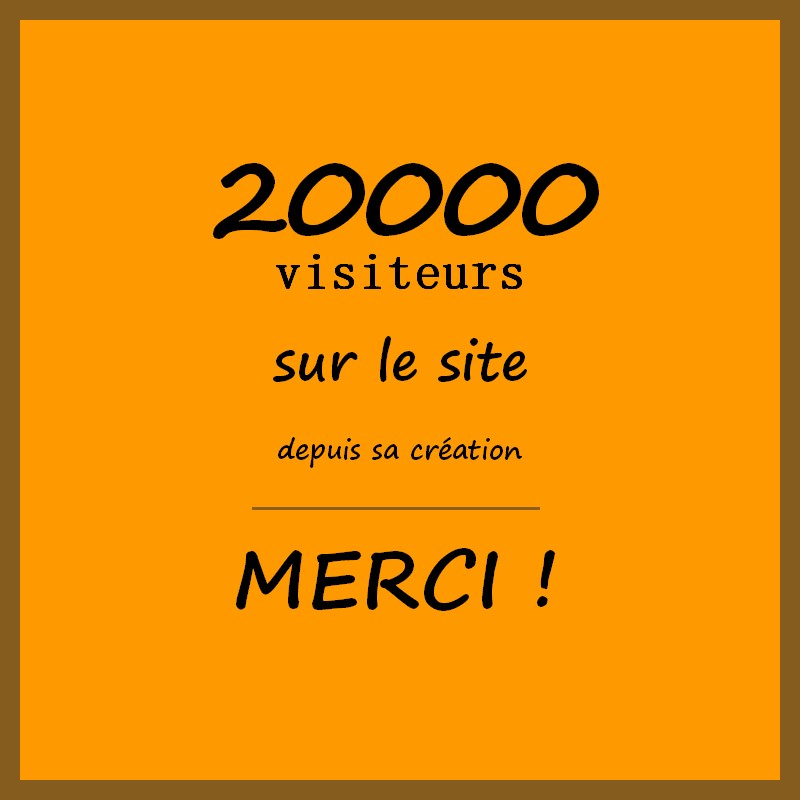 20000 visiteurs