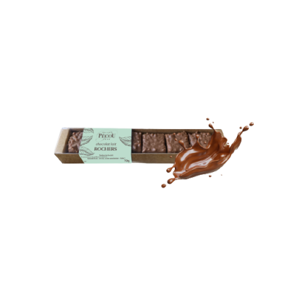 Rochers pralines coffret 80g chocolat au lait